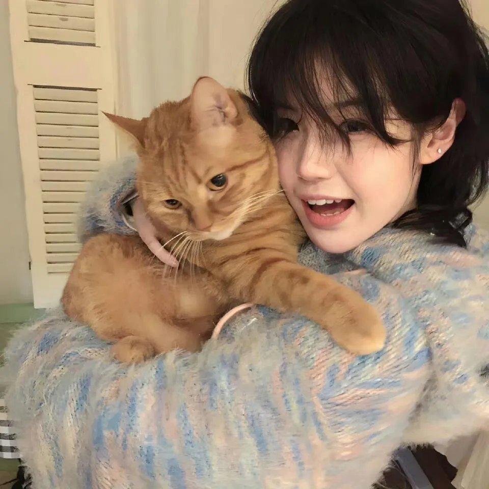 宇宙护卫队之超甲恐龙队